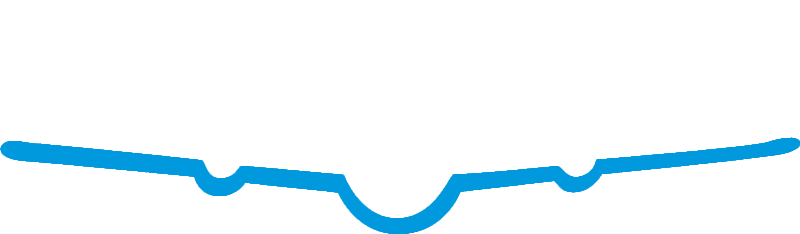 flymec logo white